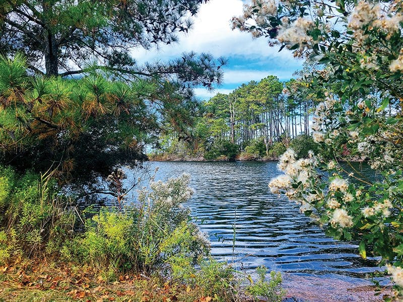 Freedom Trail, Soundside Trailhead. The picturesque Croatan Sound trailhead serves as a portal into Civil War history where natural beauty and a narrative of human hope intertwine. Photo by Betsy DiJulio.