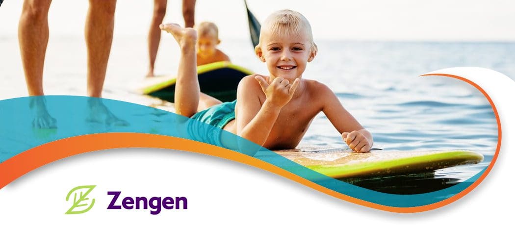2025 hero zengen
