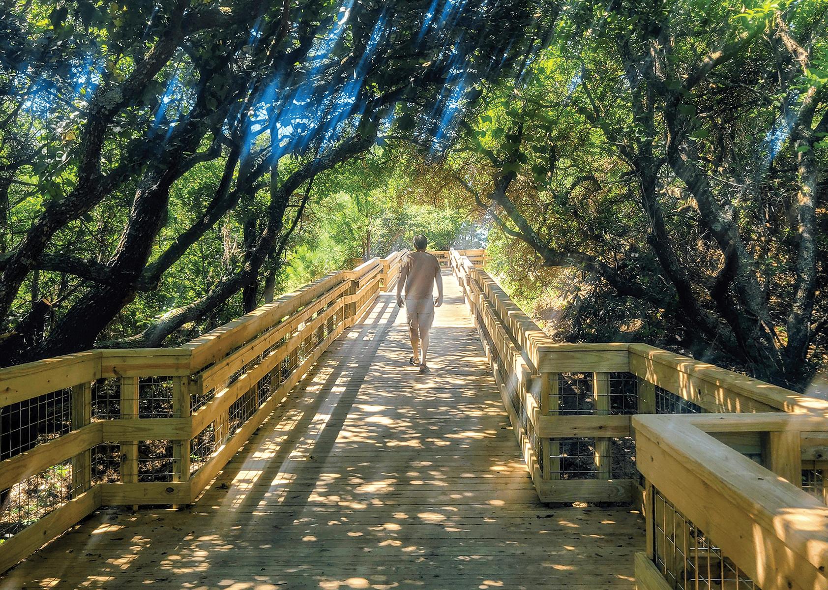 Discovering Jockey’s Ridge Anew