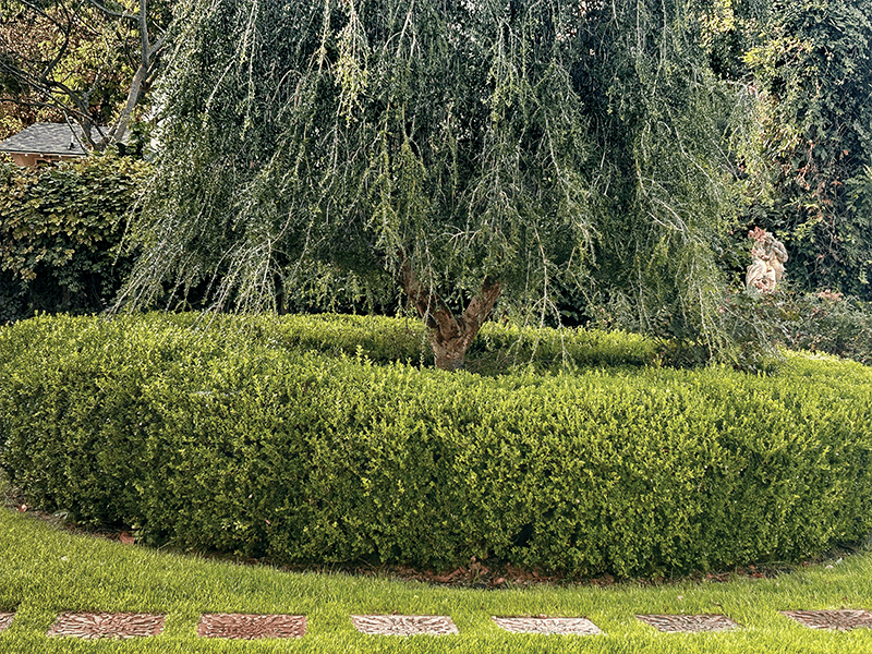 Image courtesy of Grounds Pros Landscape Management